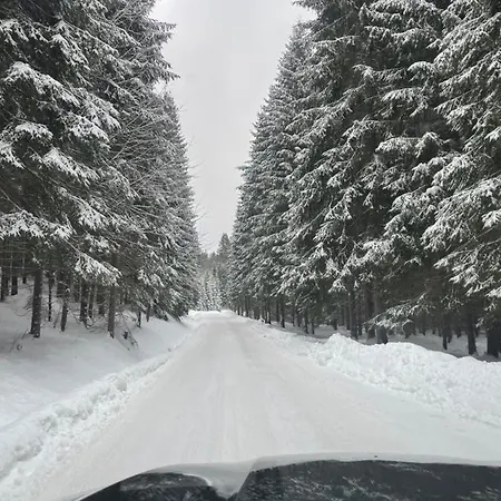 Apartament Vevericka Oravská Lesná