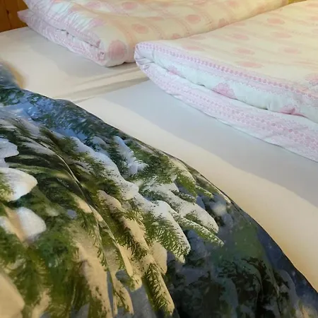 Apartament Vevericka Oravská Lesná