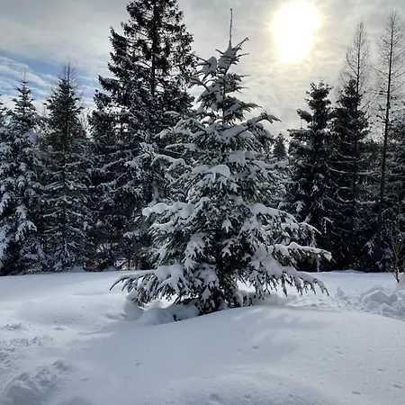 Vevericka * Oravská Lesná