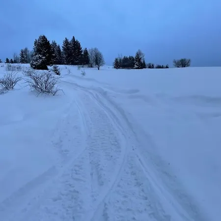 Vevericka Oravská Lesná